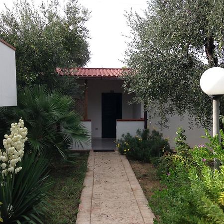 Green Garden Eco-Holiday Vieste Rom bilde
