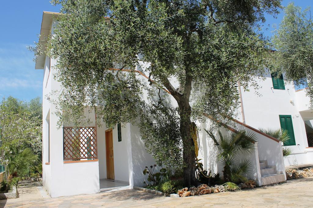 Green Garden Eco-Holiday Vieste Eksteriør bilde
