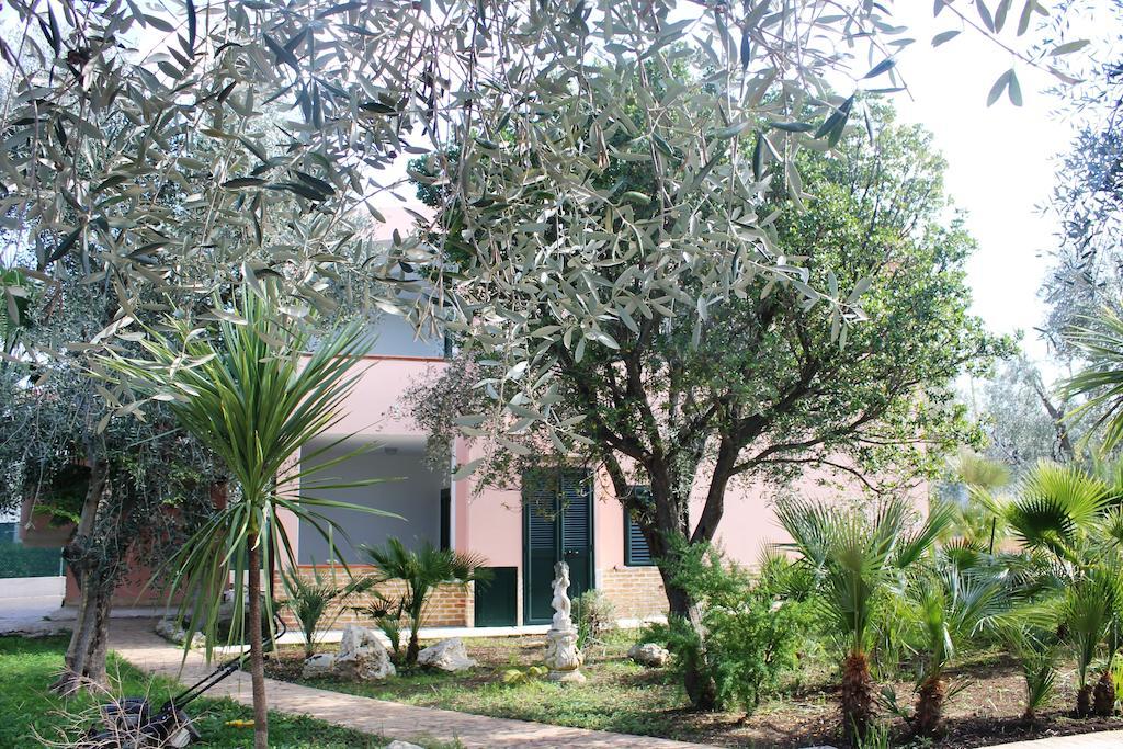 Green Garden Eco-Holiday Vieste Eksteriør bilde