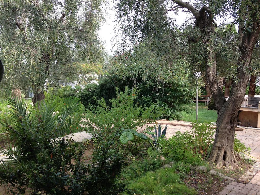 Green Garden Eco-Holiday Vieste Eksteriør bilde