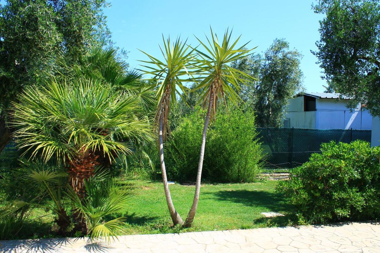 Green Garden Eco-Holiday Vieste Eksteriør bilde