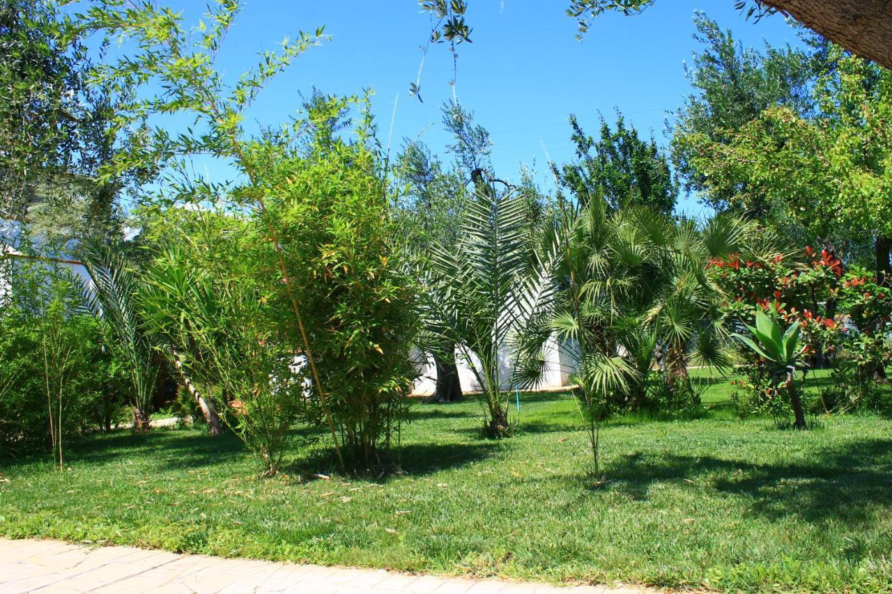 Green Garden Eco-Holiday Vieste Eksteriør bilde